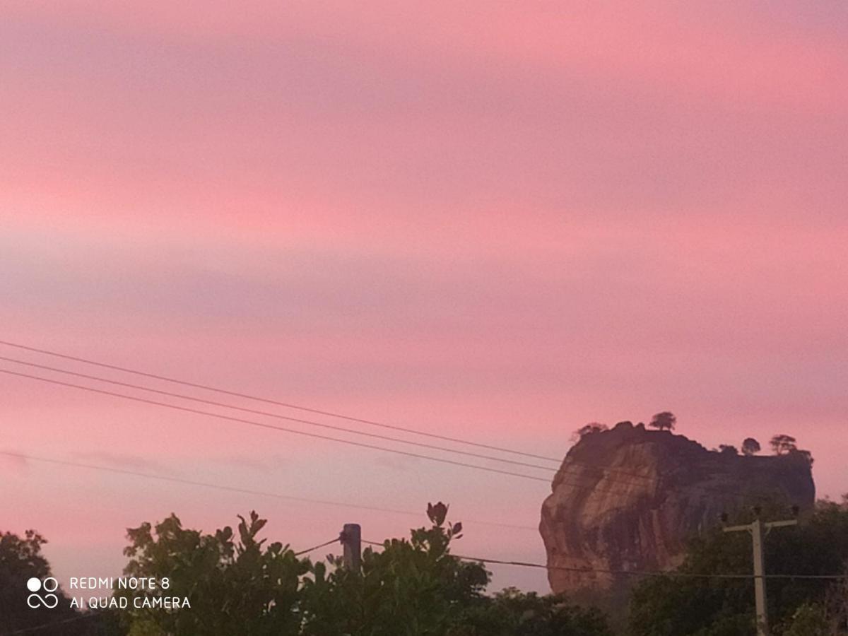 Gayani Sigiri View Home Stay Sigiriya Bagian luar foto
