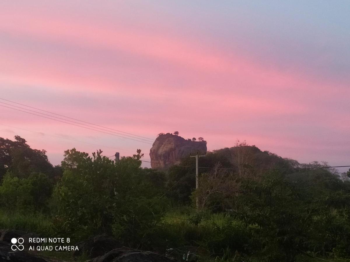 Gayani Sigiri View Home Stay Sigiriya Bagian luar foto