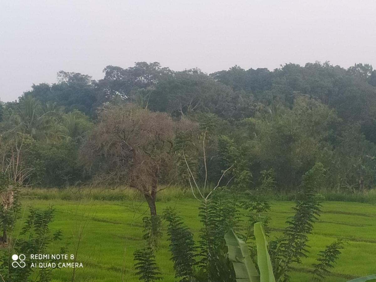 Gayani Sigiri View Home Stay Sigiriya Bagian luar foto
