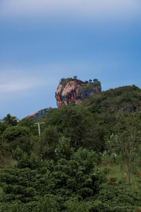 Gayani Sigiri View Home Stay Sigiriya Bagian luar foto
