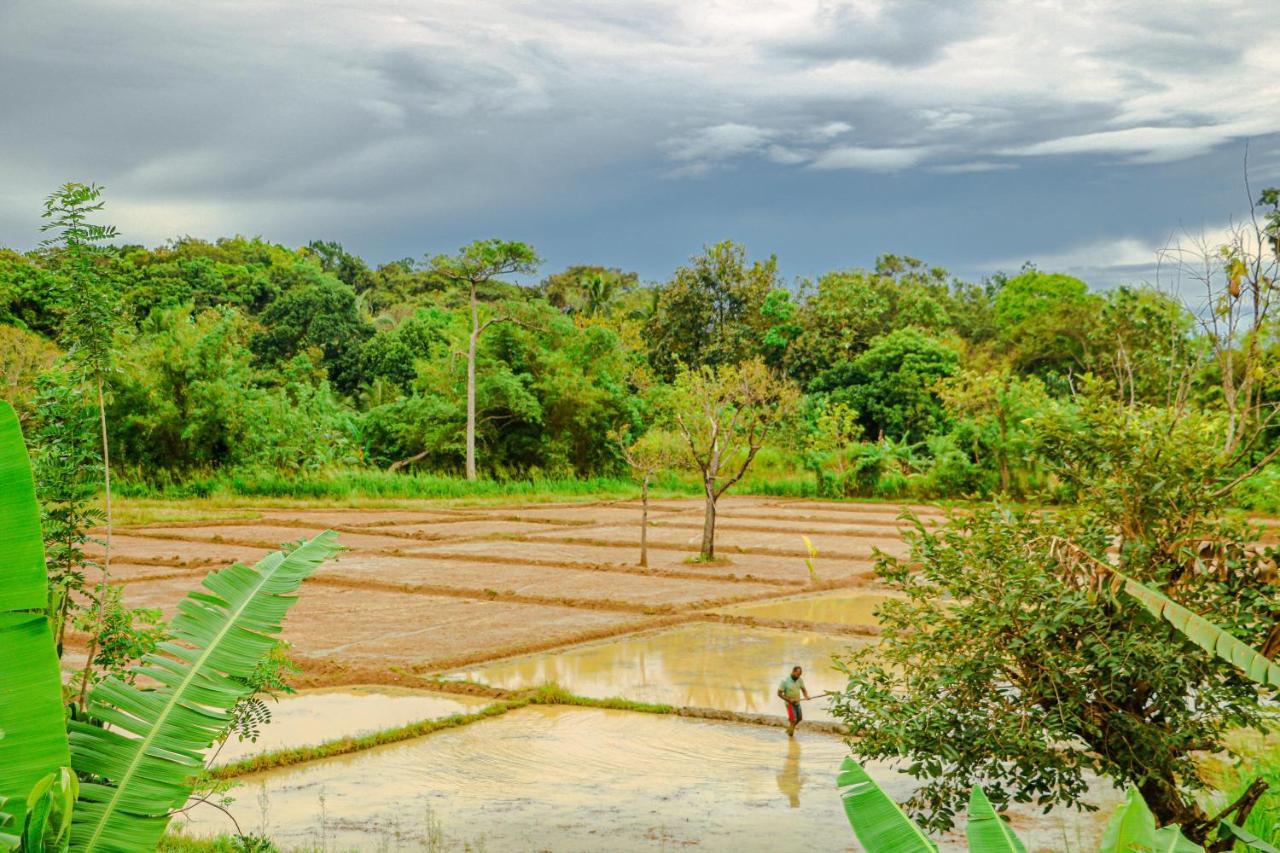 Gayani Sigiri View Home Stay Sigiriya Bagian luar foto