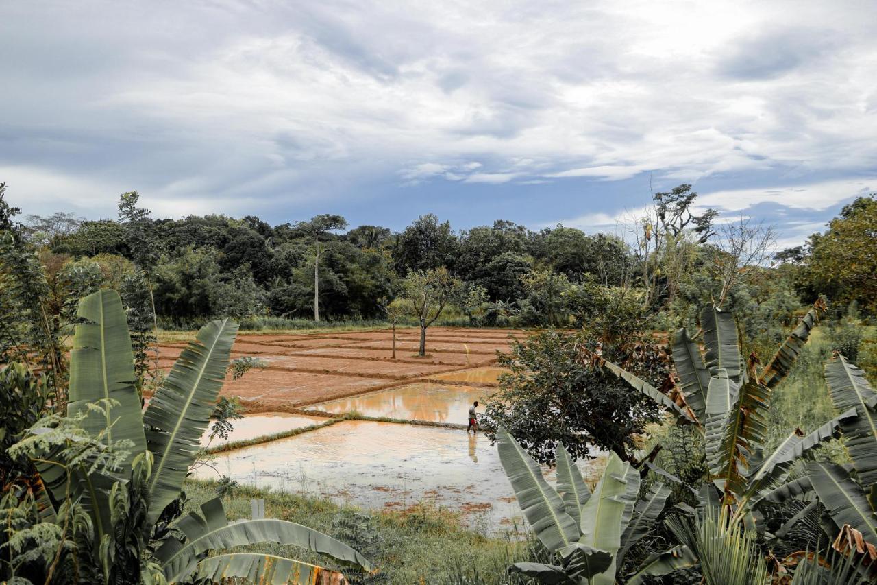 Gayani Sigiri View Home Stay Sigiriya Bagian luar foto