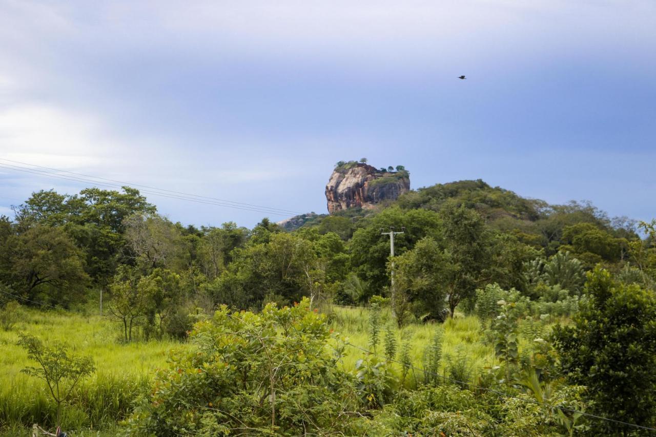 Gayani Sigiri View Home Stay Sigiriya Bagian luar foto