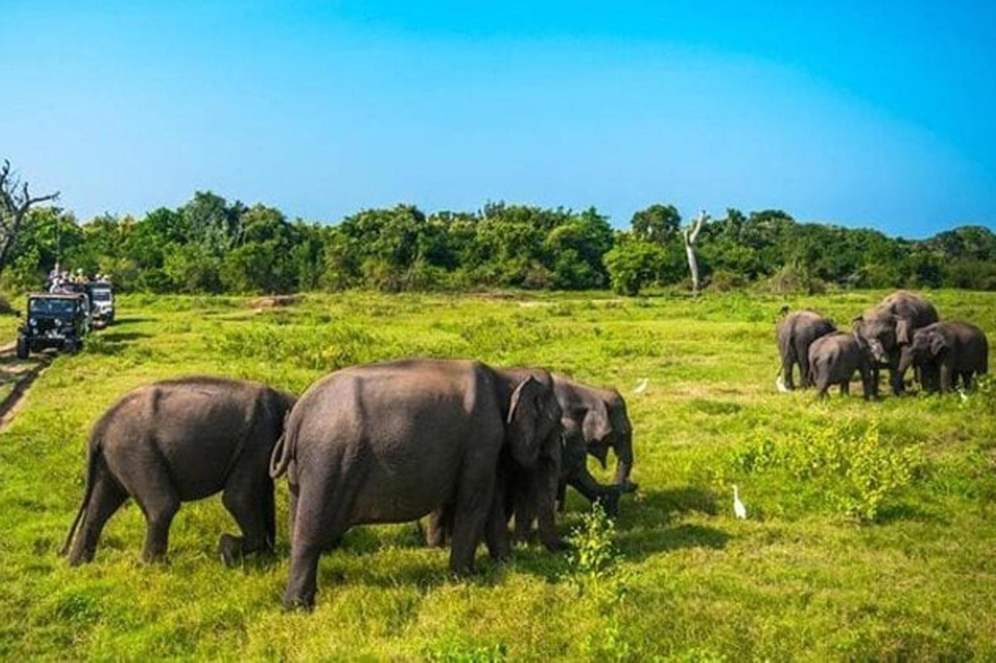 Gayani Sigiri View Home Stay Sigiriya Bagian luar foto