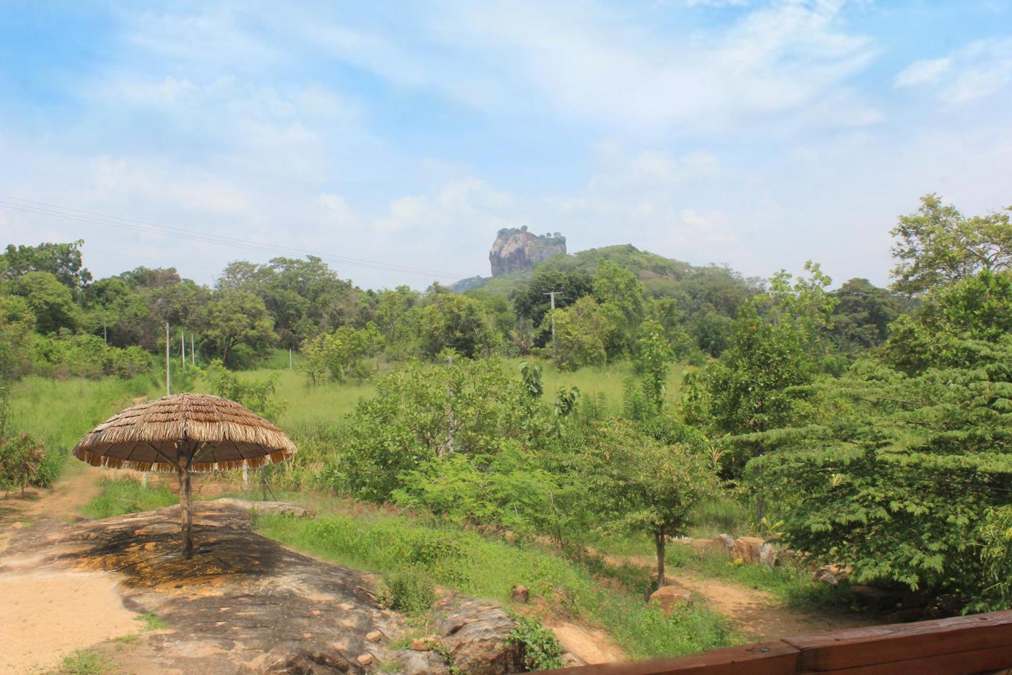 Gayani Sigiri View Home Stay Sigiriya Bagian luar foto